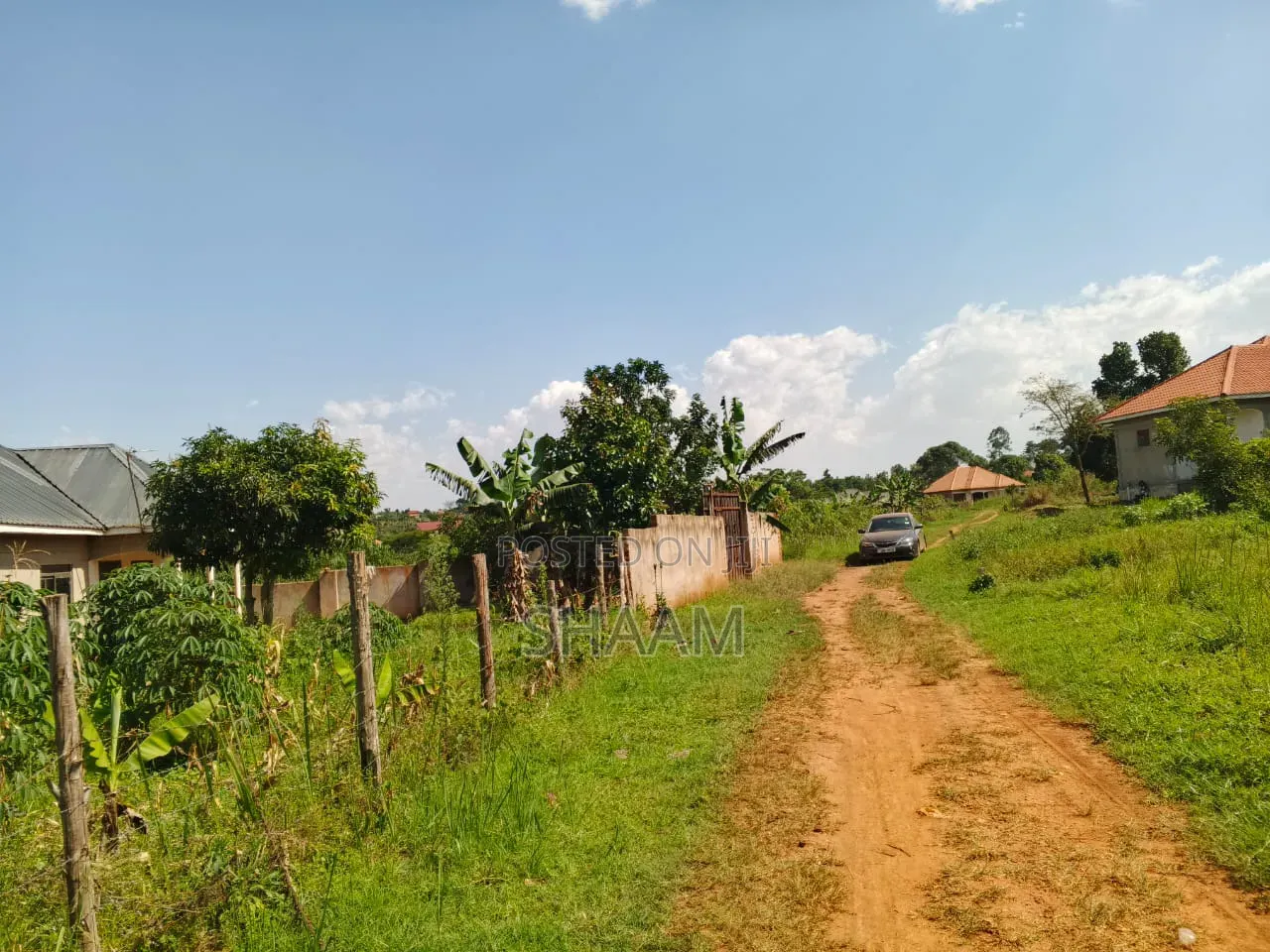 50*100 in Matuga