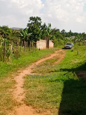 50*100 in Matuga