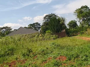 50*100 in Matuga