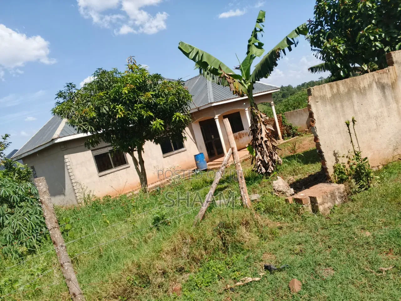 50*100 in Matuga
