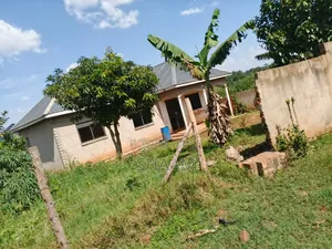 50*100 in Matuga