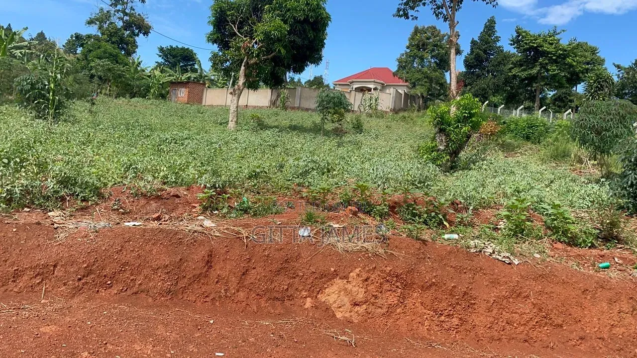 3 Prime Plots for Sale in Mukono Kisoga Town Titled