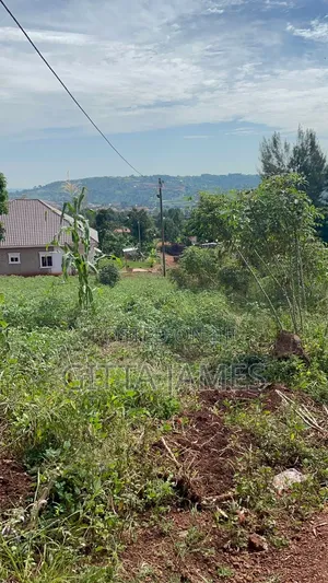 3 Prime Plots for Sale in Mukono Kisoga Town Titled