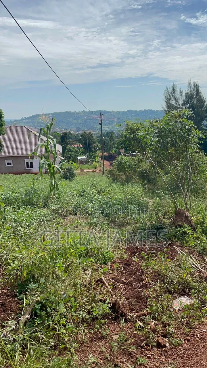 3 Prime Plots for Sale in Mukono Kisoga Town Titled