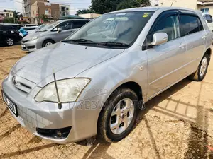 Toyota Allex 2006 Silver