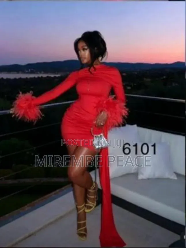 Feather Sleeve Mini Dresses