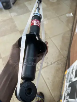 Outlander Shocks Rear
