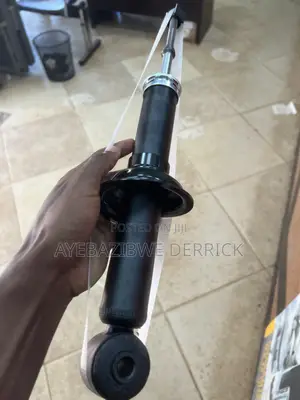 Outlander Shocks Rear