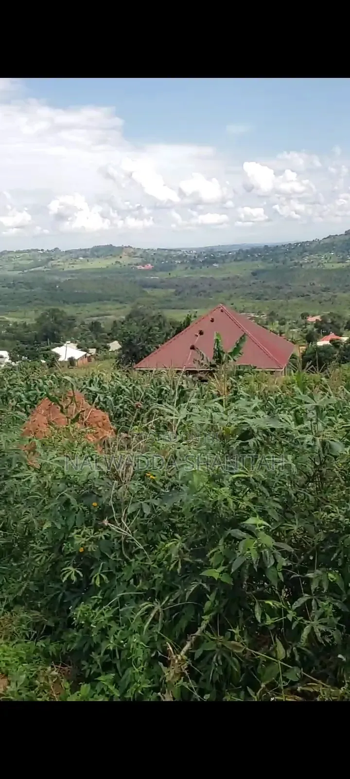 Plot on Sale