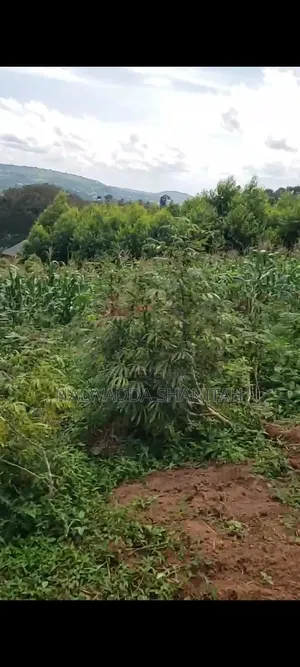 Plot on Sale