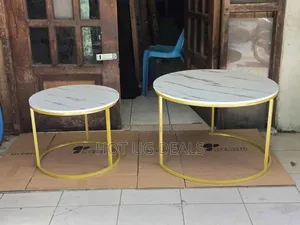 Set of 2 Modern Round Coffee Tables With Marble Tabletop - White/Gold