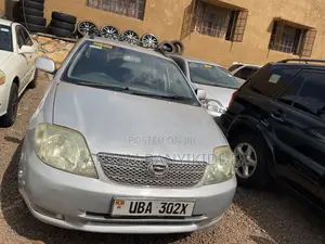 Toyota Corolla Fielder 2007 Silver