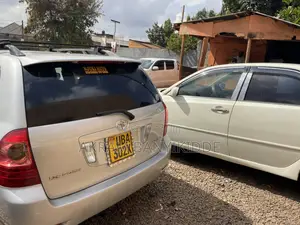 Toyota Corolla Fielder 2007 Silver
