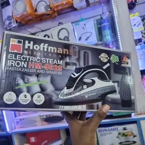 Electric Steam Iron/Gm 9029 Steam Iron