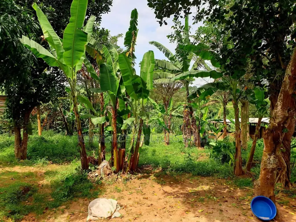 Buwate Plot for Sale