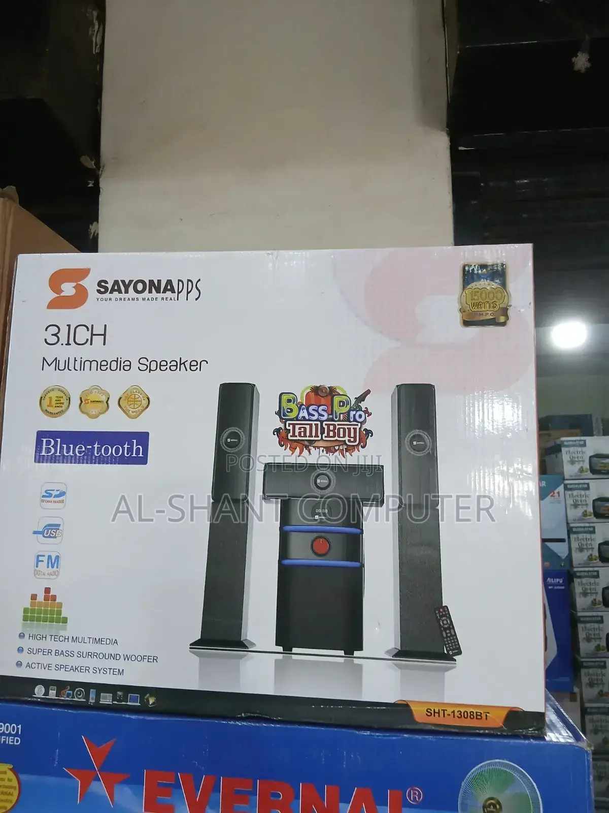 Sayona 3.1ch Multimedia Sound System
