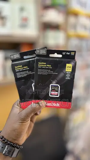 Sandisk 256gb Extreme Pro