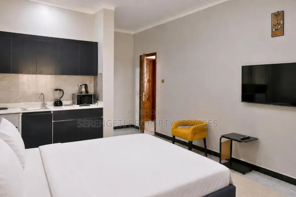 Fully Furnished Studio Airbnb Munyonyo