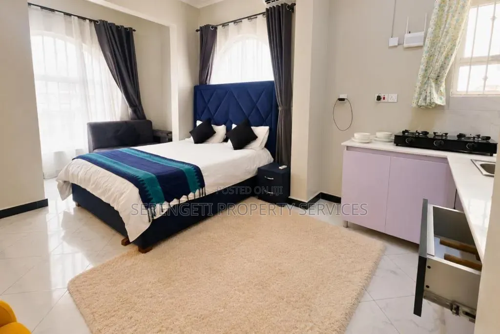 Fully Furnished Studio Airbnb Munyonyo