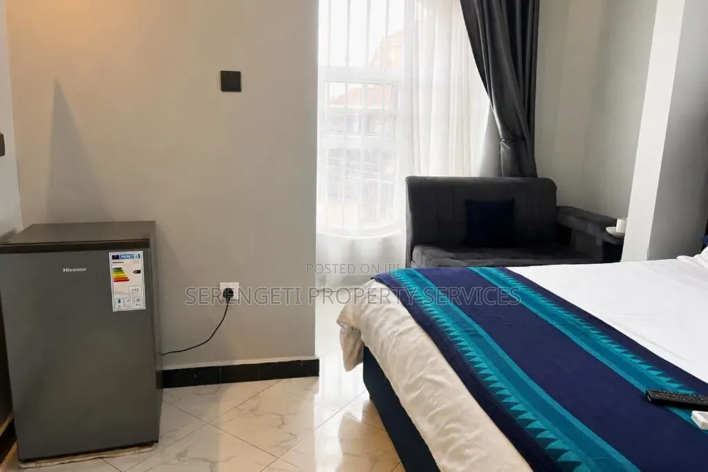 Fully Furnished Studio Airbnb Munyonyo