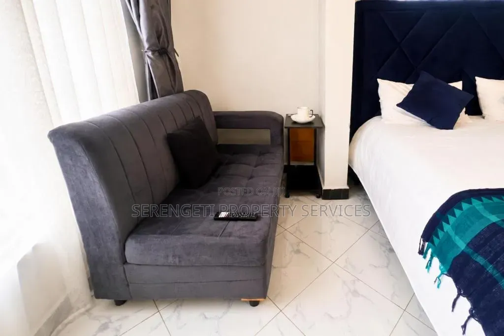 Fully Furnished Studio Airbnb Munyonyo