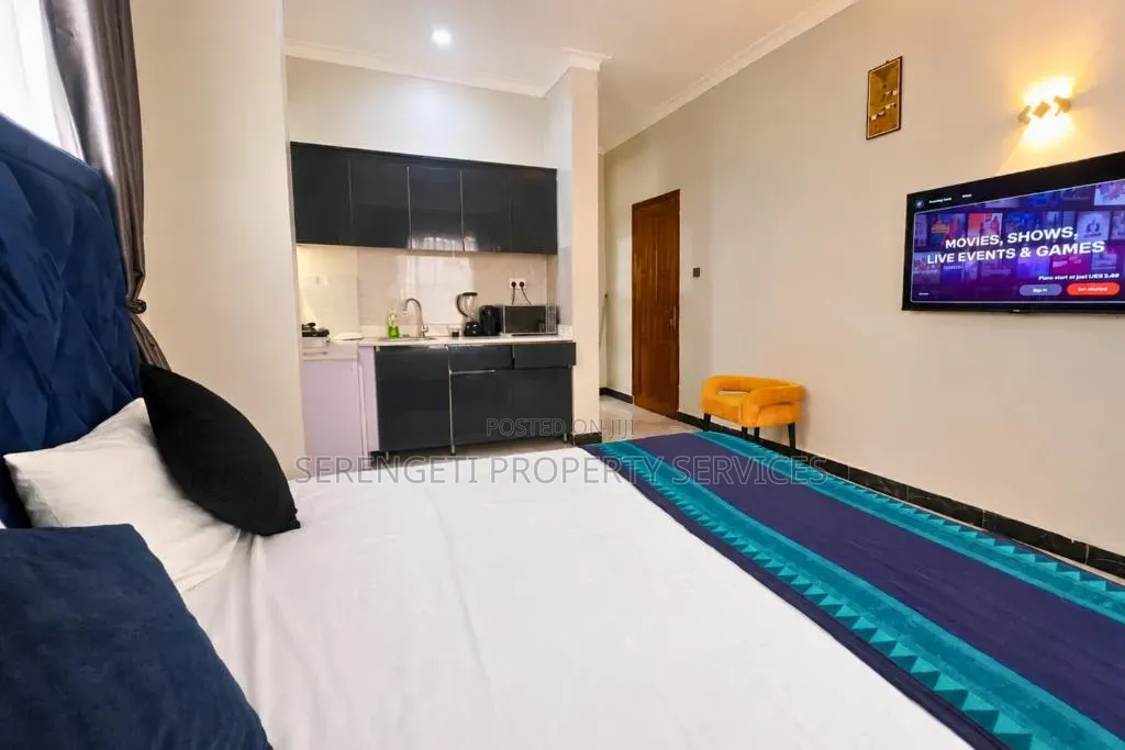 Fully Furnished Studio Airbnb Munyonyo