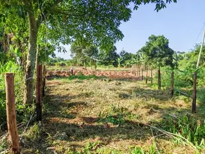 70 Decimals for Sale in Kigungu Entebbe Near Merryland School Titled