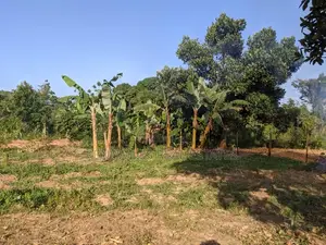 70 Decimals for Sale in Kigungu Entebbe Near Merryland School Titled
