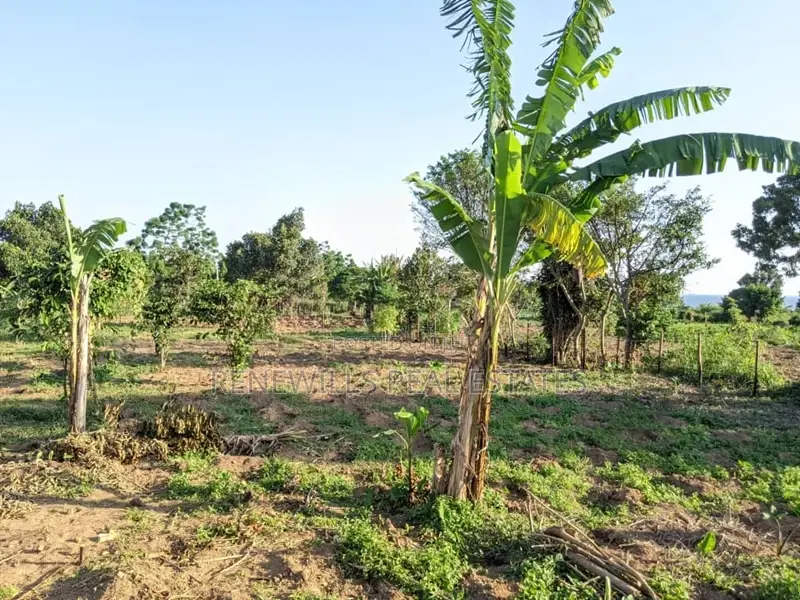 70 Decimals for Sale in Kigungu Entebbe Near Merryland School Titled