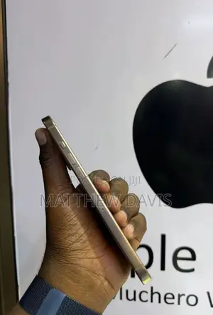 Apple iPhone 16 Pro Max 256 GB Gold