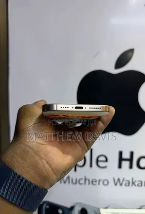 Apple iPhone 16 Pro Max 256 GB Gold