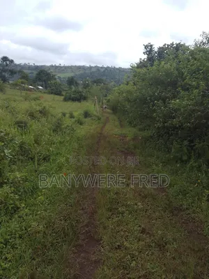 120 Acres Of Farmland In Nakaseke