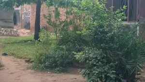 Plot for Hotel, Apartment for Sale