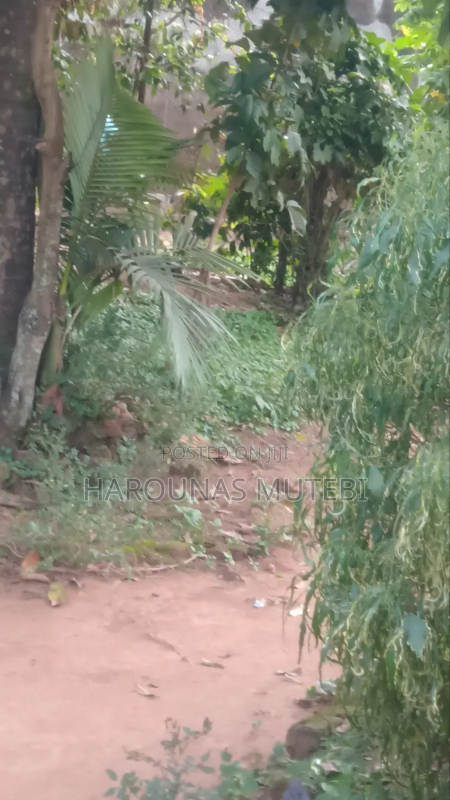 Plot for Hotel, Apartment for Sale