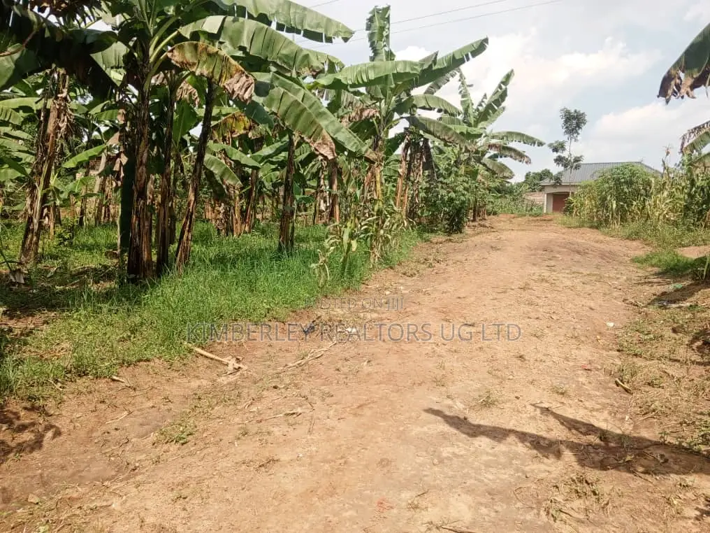 Buzibwera Nansaka Farmland