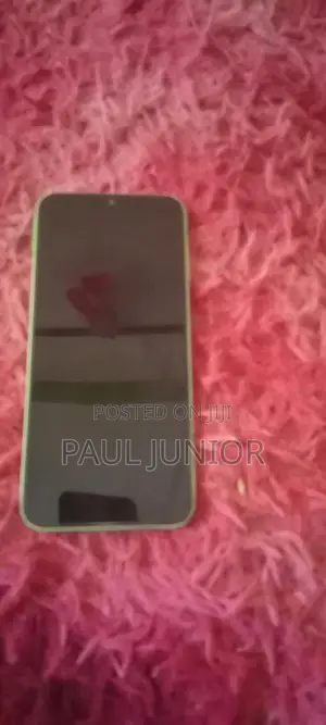 Screen Phone