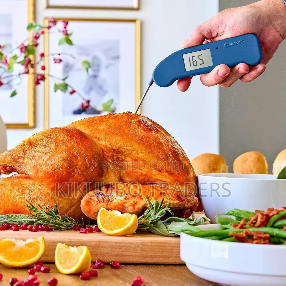 Thermoworks Food Thermometer
