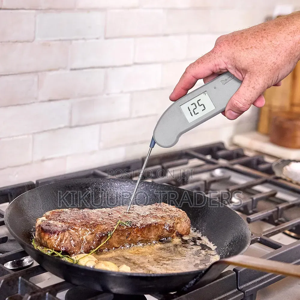 Thermoworks Food Thermometer