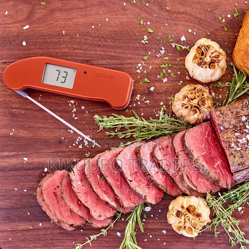 Thermoworks Food Thermometer
