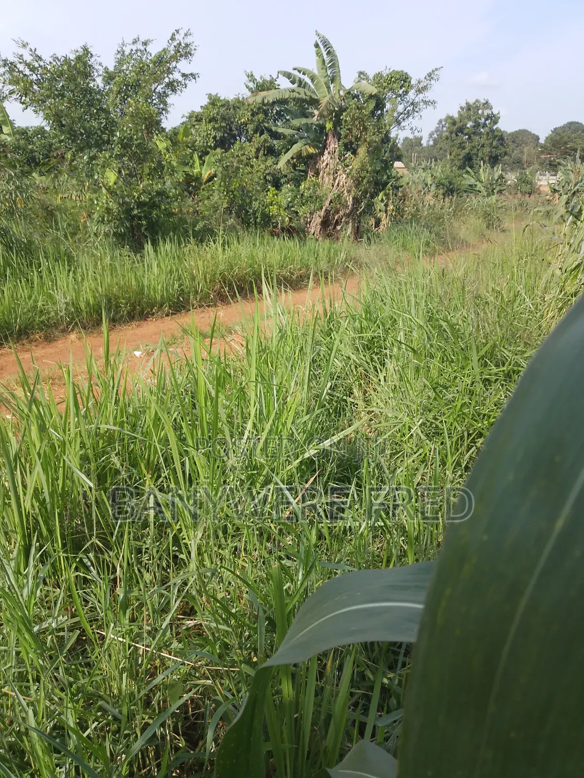 2 Acres of Land for Sale