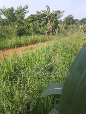 2 Acres of Land for Sale