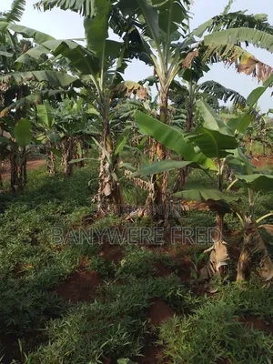 350 Acres of Industrial Land