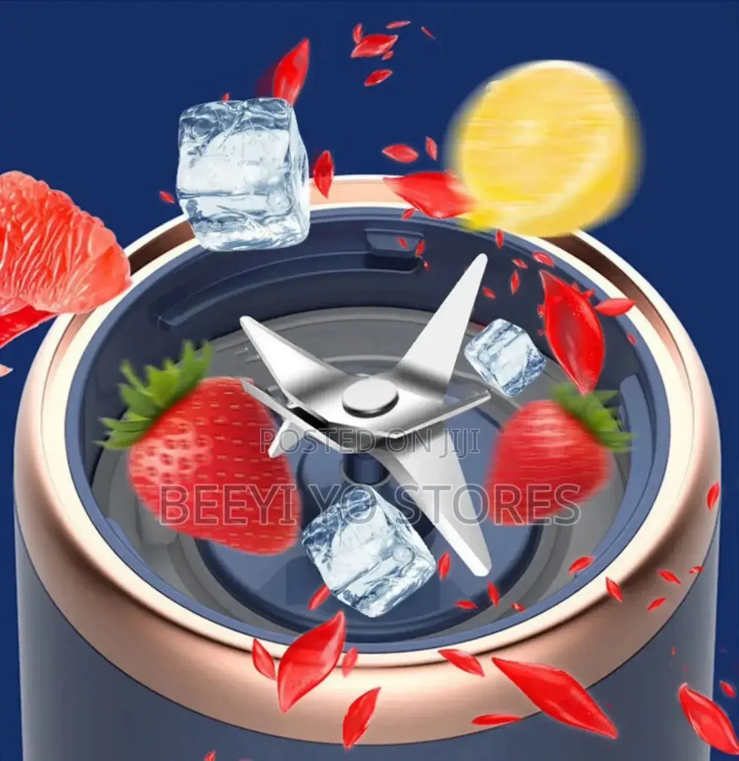 Small Portable Multi-Function Juicer