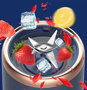 Small Portable Multi-Function Juicer