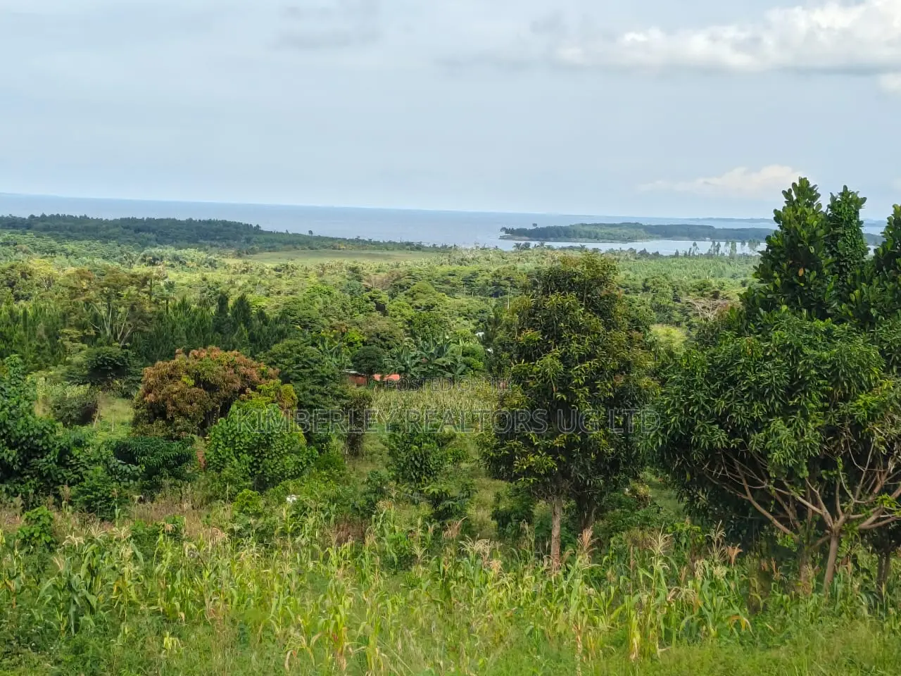  Quick Sale – Lake View Land 