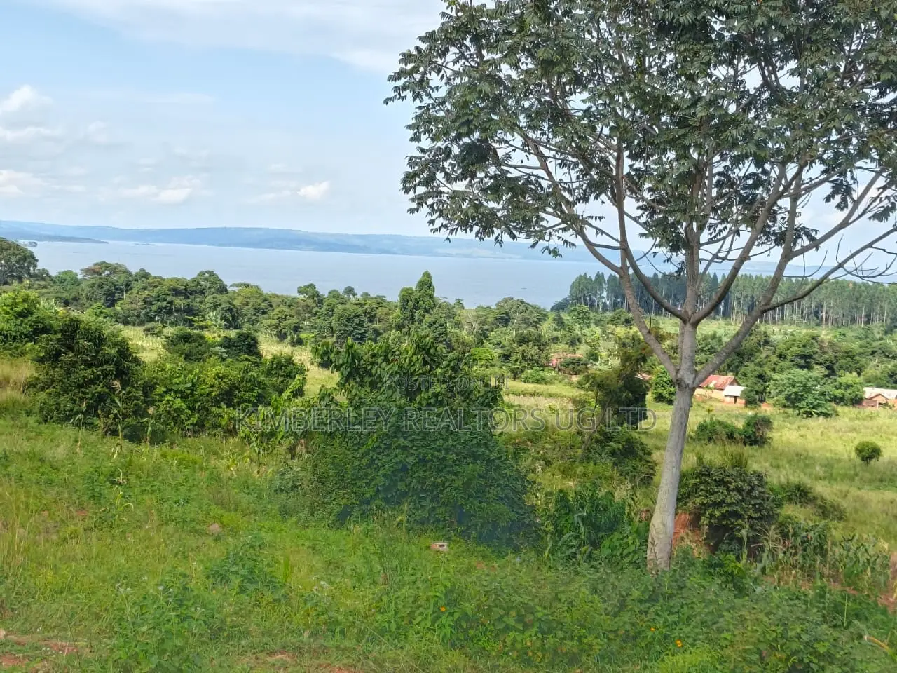  Quick Sale – Lake View Land 