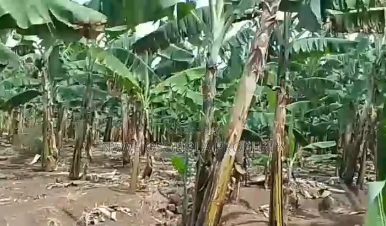 3acres for Sale With Ready Coffee Banana Plantation in Masaka