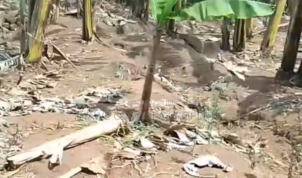 3acres for Sale With Ready Coffee Banana Plantation in Masaka
