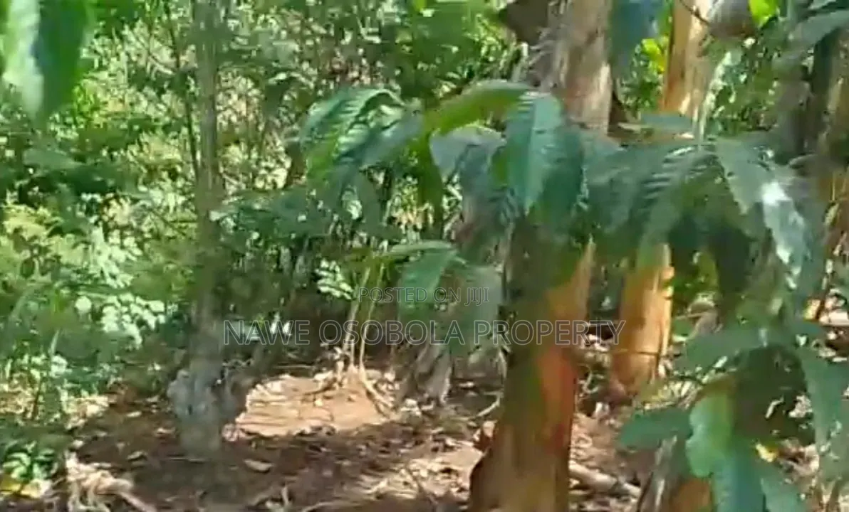 3acres for Sale With Ready Coffee Banana Plantation in Masaka