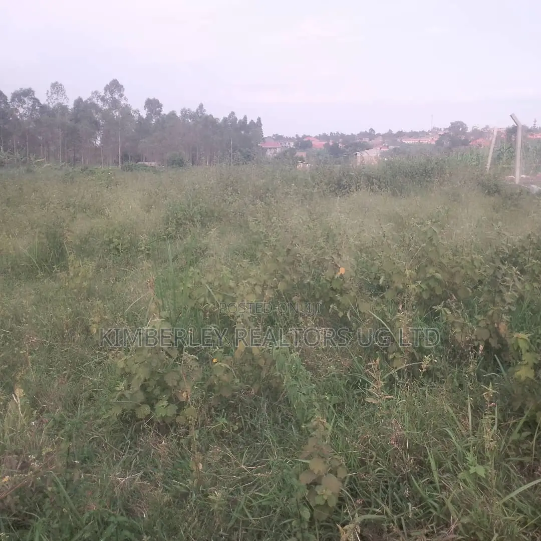 Quick Sale – 2 Plots for Sale